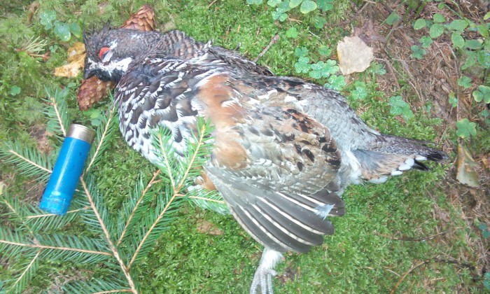 IMG_20160916_102647.jpg (1.13 МБ) Просмотров: 15257 IMG_20160916_102647.jpg