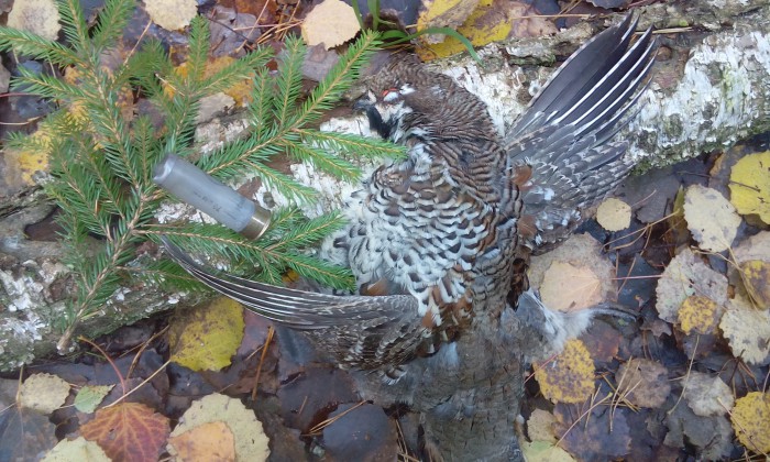 IMG_20161015_090119.jpg (1.05 МБ) Просмотров: 15257 IMG_20161015_090119.jpg