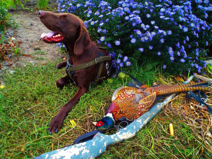 Безимени-3.jpg (200.57 КБ) Просмотров: 15261 Безимени-3.jpg