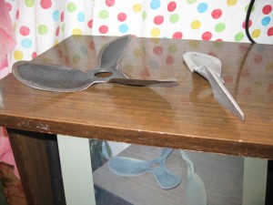 IMG_0890.jpg