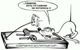 images (19).jpg