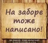 загружено (3).jpg