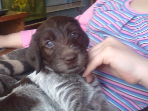 31032012502.jpg (168.27 КБ) Просмотров: 2306 31032012502.jpg