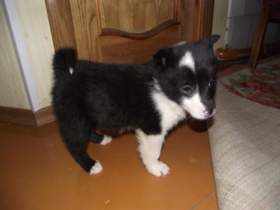 DSCF5061.JPG