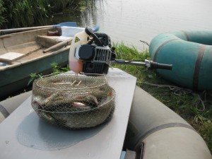 IMG_0950.jpg