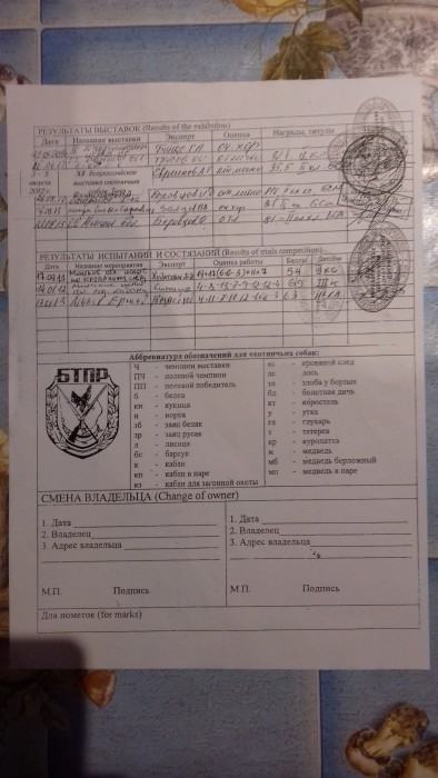 к 4.jpg