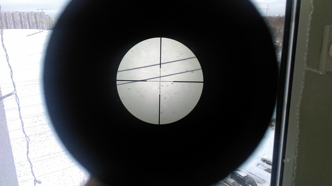 IMAG0456.jpg