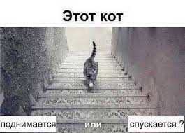 images (18).jpg