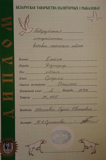 papa9diplom.jpg