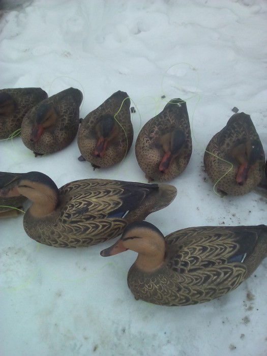 IMG_20170213_114416.jpg (551.94 КБ) Просмотров: 11080 IMG_20170213_114416.jpg