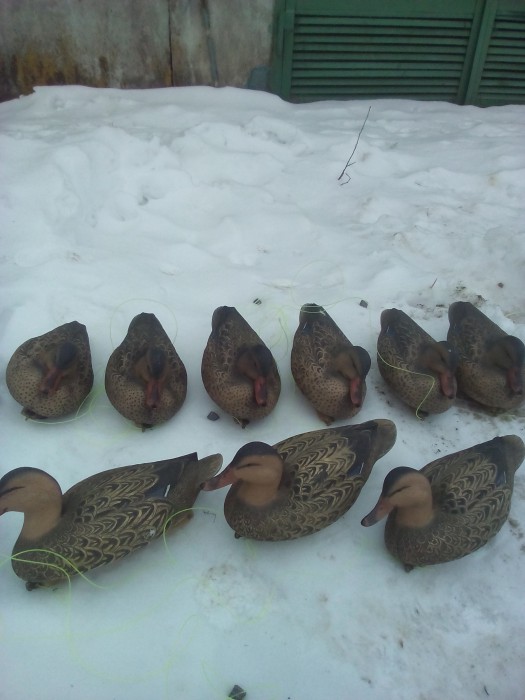 IMG_20170213_114405.jpg (553.06 КБ) Просмотров: 11077 IMG_20170213_114405.jpg