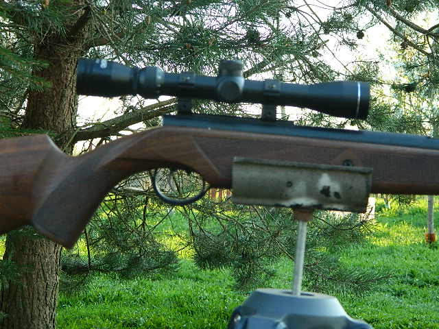 DSCN9534.JPG