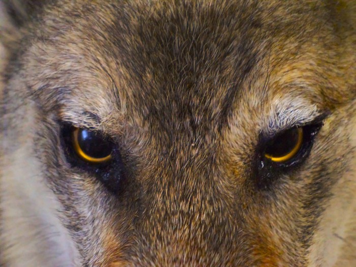 4.jpg (499.73 КБ) Просмотров: 10392 4.jpg