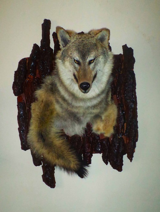 2.jpg (203.36 КБ) Просмотров: 10381 2.jpg