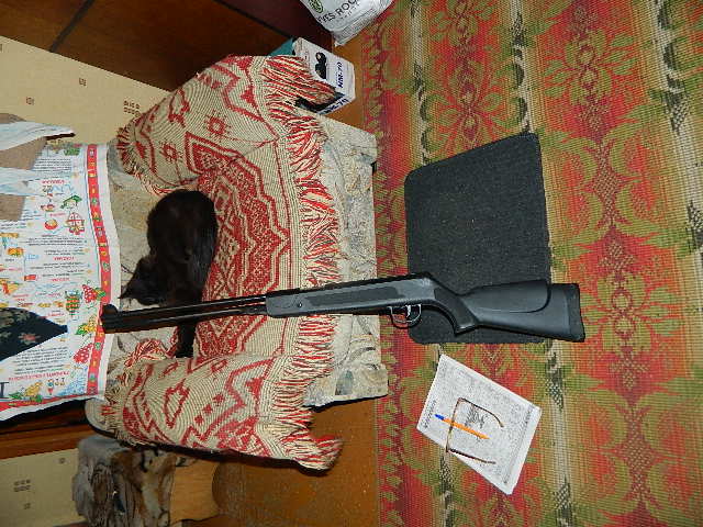DSCN0813.JPG