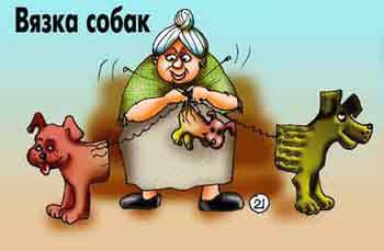 viazka-sobak.jpg