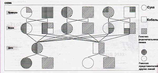 image-4.jpg