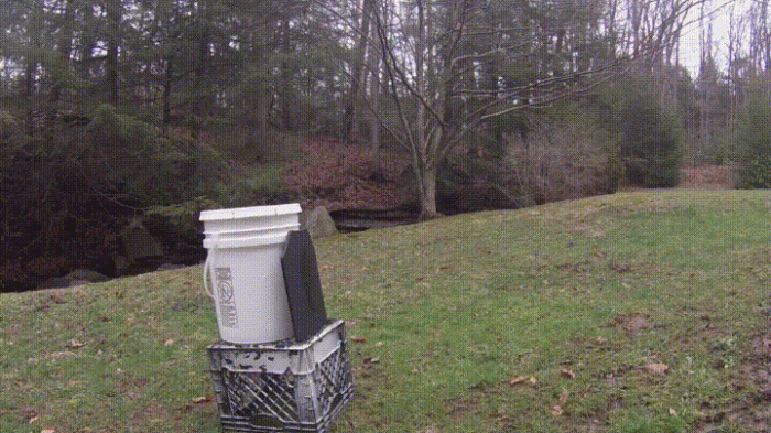 file.gif