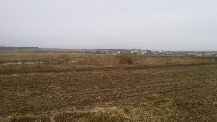 Скрадок.JPG