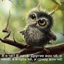 images (7).jpg