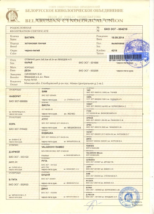 багира 4219.jpg