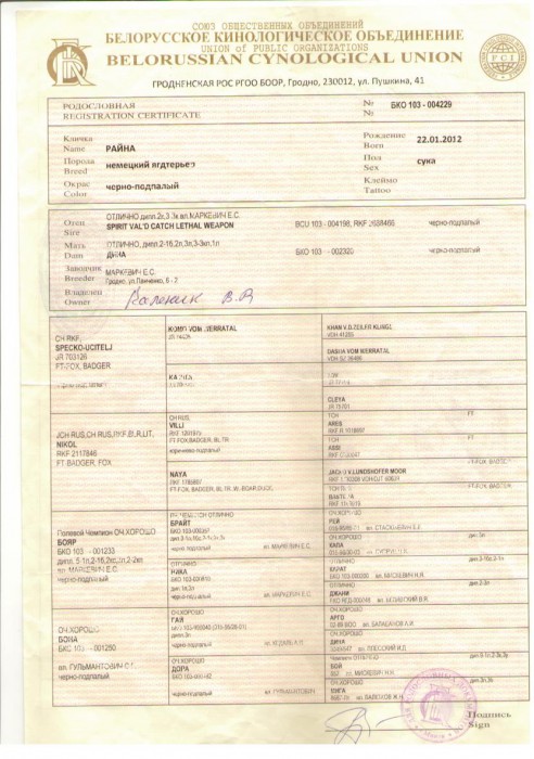1 012.jpg РОДОСЛОВНАЯ РАЙНЫ.jpg (164.6 КБ) Просмотров: 3523 1 012.jpg РОДОСЛОВНАЯ РАЙНЫ.jpg