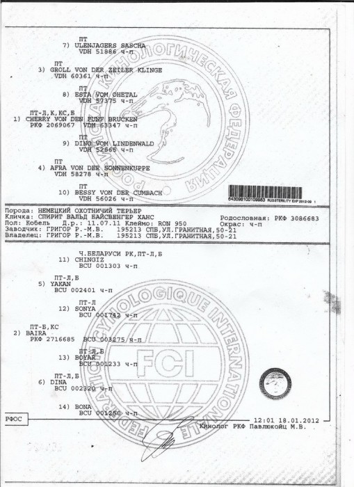РОДЛСЛОВНАЯ ХАНС. 2jpg.jpg (209.24 КБ) Просмотров: 3523 РОДЛСЛОВНАЯ ХАНС. 2jpg.jpg