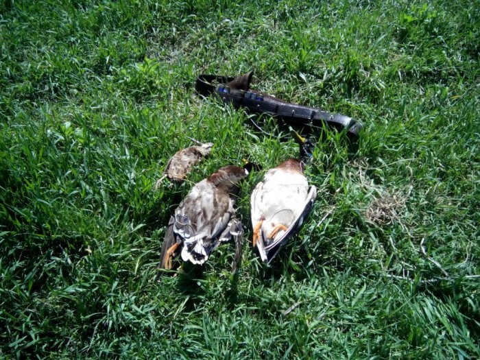 Фото 103.jpg (296.66 КБ) Просмотров: 7487 Фото 103.jpg