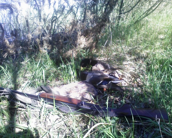 Фото 102.jpg (477.76 КБ) Просмотров: 7486 Фото 102.jpg