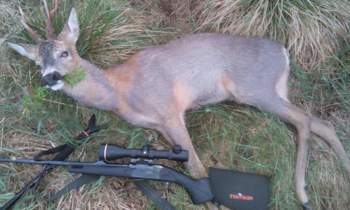 IMG_20170521_050237.jpg (870.21 КБ) Просмотров: 36609 IMG_20170521_050237.jpg