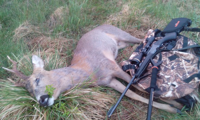 IMG_20170521_051401.jpg (997.81 КБ) Просмотров: 36607 IMG_20170521_051401.jpg