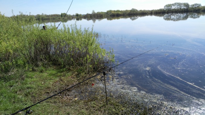 IMG_20170519_101436_1000x563.jpg (585.47 КБ) Просмотров: 14259 IMG_20170519_101436_1000x563.jpg