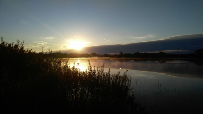 IMG_20170520_053000_1000x563.jpg (295.5 КБ) Просмотров: 14264 IMG_20170520_053000_1000x563.jpg