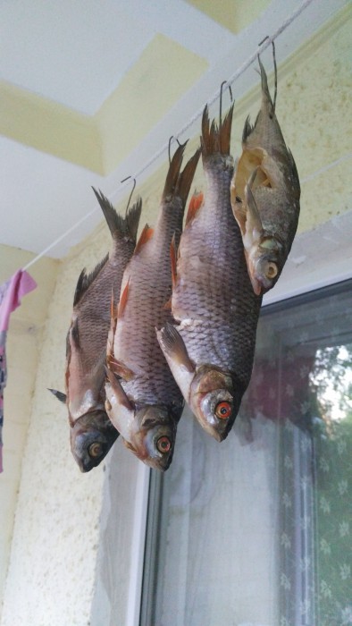 IMG_20170525_210231_1000x1778.jpg (1.09 МБ) Просмотров: 14262 IMG_20170525_210231_1000x1778.jpg