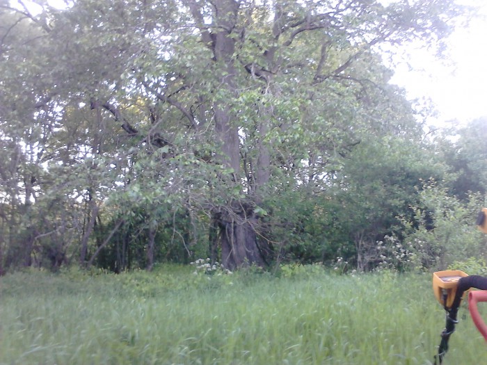 DSC_0498.jpg