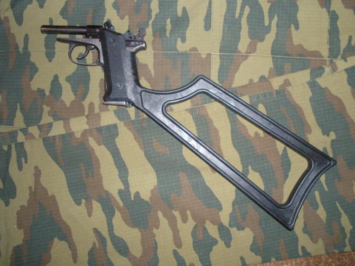 2921589.jpg