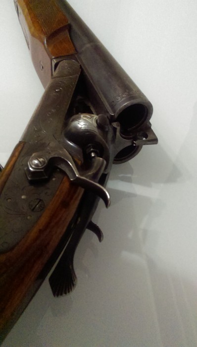 IMAG0204.jpg