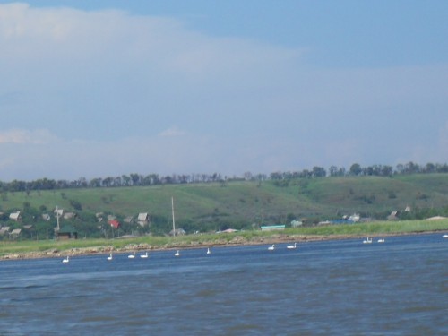 SDC11911.JPG
