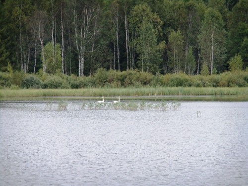 Покатуха 16-08-2011 049_1.jpg