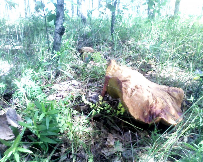 Фото 1022.jpg (493.82 КБ) Просмотров: 8035 Фото 1022.jpg