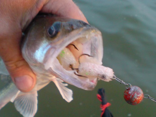 м-01.jpg (128.54 КБ) Просмотров: 13536 м-01.jpg