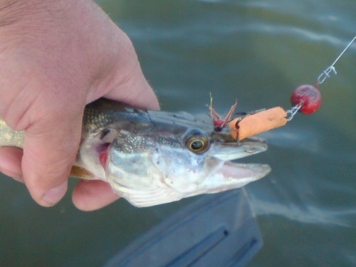 м-02.jpg (127.48 КБ) Просмотров: 13536 м-02.jpg