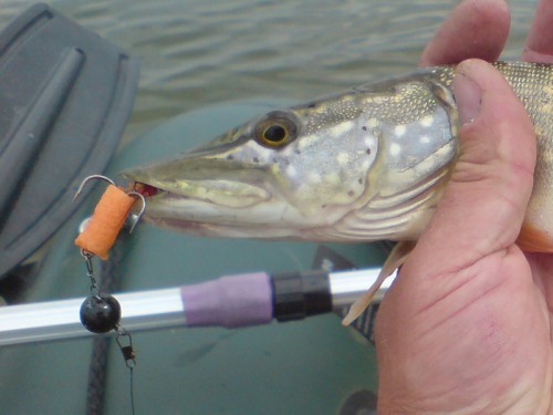 м-03.jpg (140.48 КБ) Просмотров: 13536 м-03.jpg