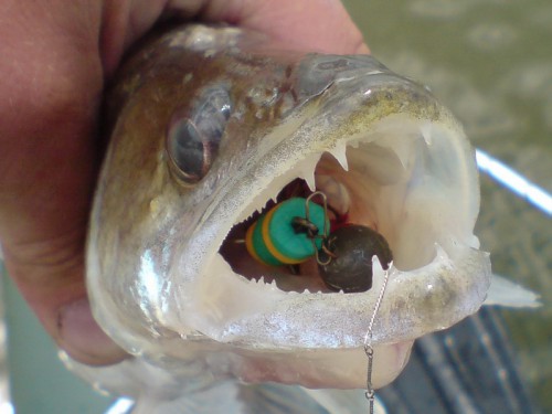 м-04.jpg (148.79 КБ) Просмотров: 13536 м-04.jpg