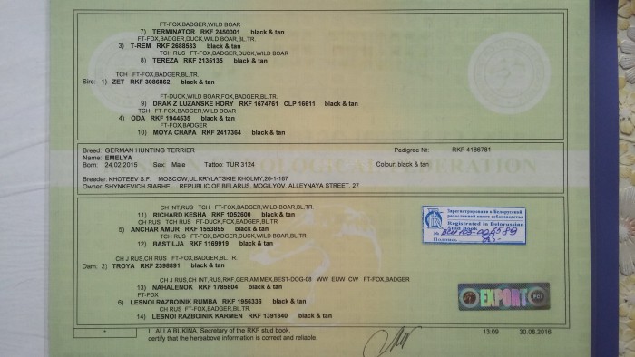 Родословная 1.jpg (1.06 МБ) Просмотров: 2325 Родословная 1.jpg
