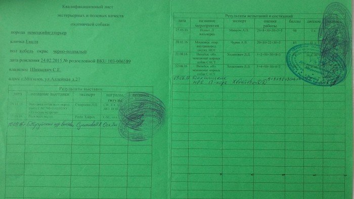 Родословная1_1.jpg (1.19 МБ) Просмотров: 2325 Родословная1_1.jpg