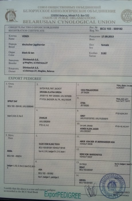Родословная.jpg (889.32 КБ) Просмотров: 2325 Родословная.jpg