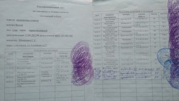Родословная2.jpg (1.07 МБ) Просмотров: 2325 Родословная2.jpg
