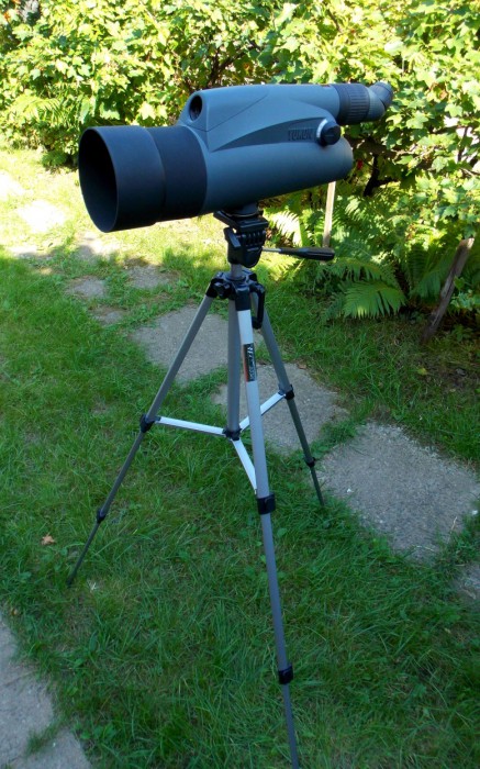 DSCN0950.JPG