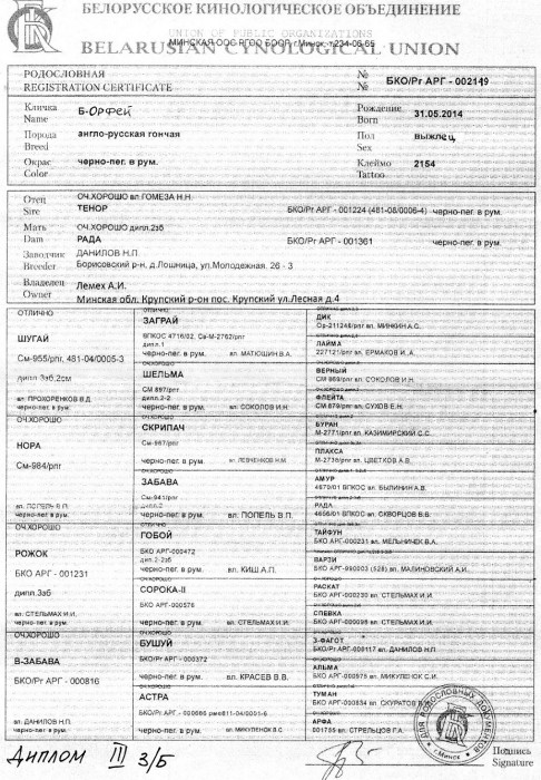 орфей.jpg (719.82 КБ) Просмотров: 3411 орфей.jpg